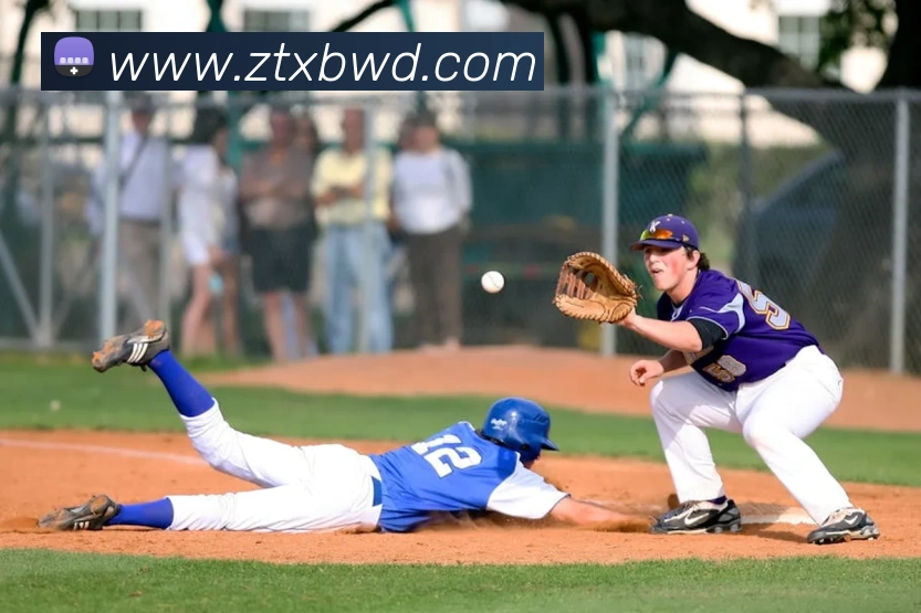 问鼎28平台生态图