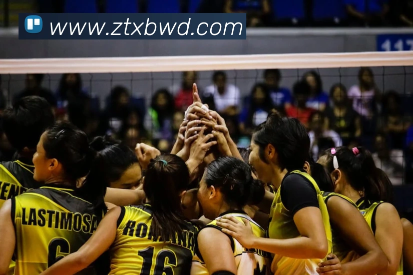 问鼎28APP 封面图